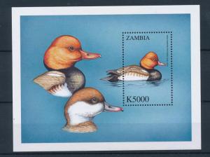 [41864] Zambia 2000 Birds Vögel Oiseaux Ucelli  Ducks MNH Sheet