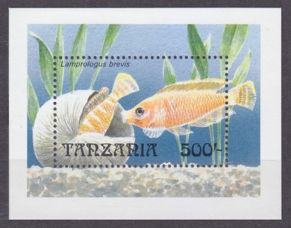 1992 Tanzania 1352/B192 Marine fauna 6,00 €