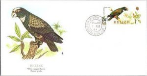 Brazil, Worldwide First Day Cover, Birds