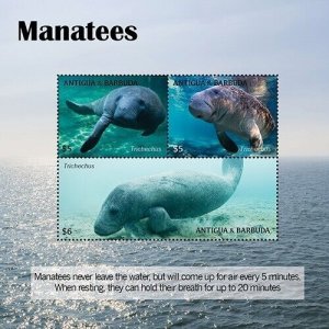 Antigua 2020 - Mantees - Marine Life - Sheet of 3 Stamps - Scott #3599 - MNH