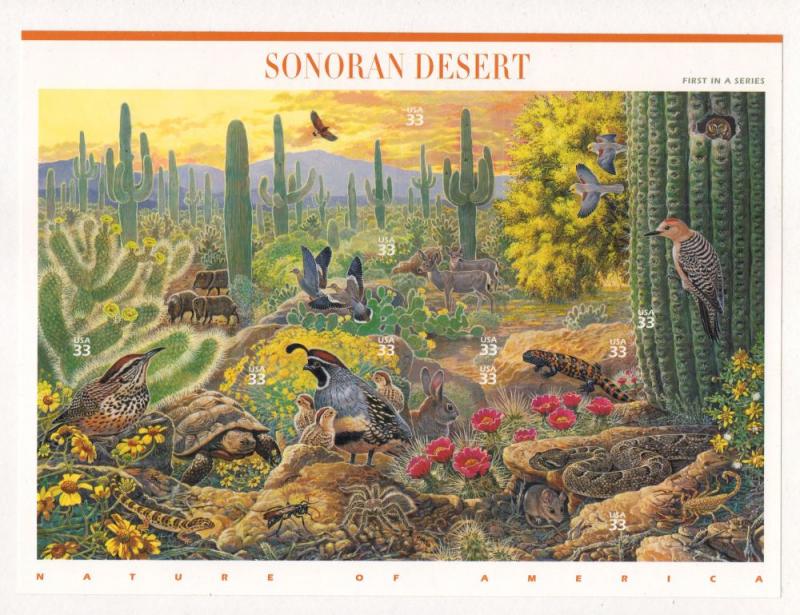 US Sc 3293 1999 Sonoran Desert stamp sheet mint NH