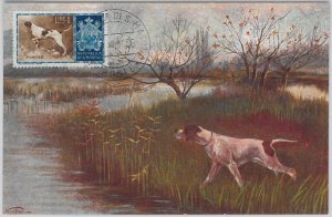 52674 - SAN MARINO - MAXIMUM CARD - ANIMALS dog POINTER 1956-