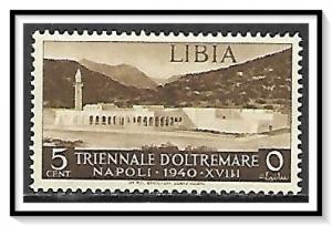 Libya #88 Overseas Expo NG