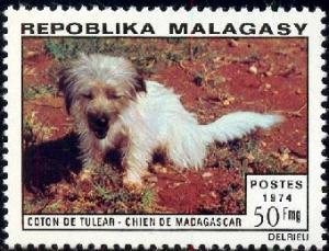 Tulear Dog, Malagasy stamp SC#512 MNH