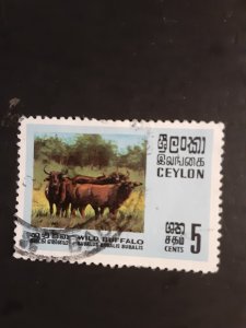 +Ceylon #439              Used