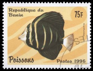 Benin #943 Surgeonfish; CTO