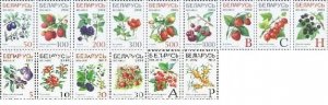 Belorussia Belarus 2004 Definitives Berries silk paper Set of 15 stamps MNH