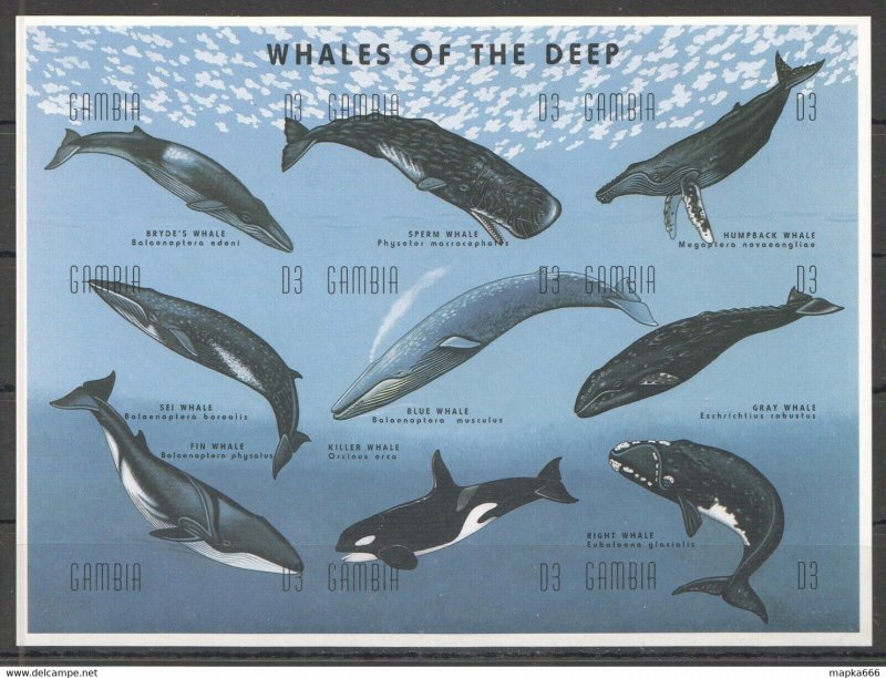 Imperforate Gambia Marine Life Whales Of The Deep 1Kb ** Bz065