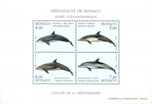 Fauna. Dolphins 1992.
