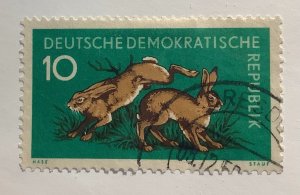 Germany DDR 1959 Scott 472 used - 10pf, Forest animals, European Hare