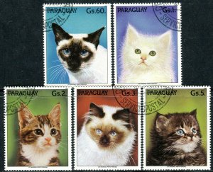 256 - Paraguay - Cats - Fauna - Used Set