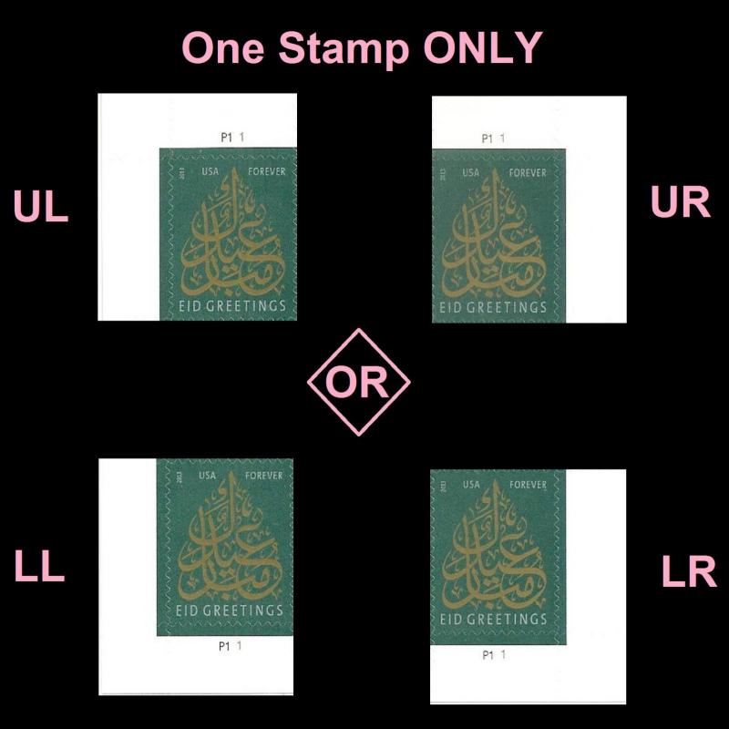 US 4800 Eid forever plate single (1 stamp) MNH 2013