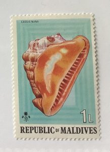 Maldive islands 1975 Scott 533 MNH - 1 L,  sea shells,  cassis Nana