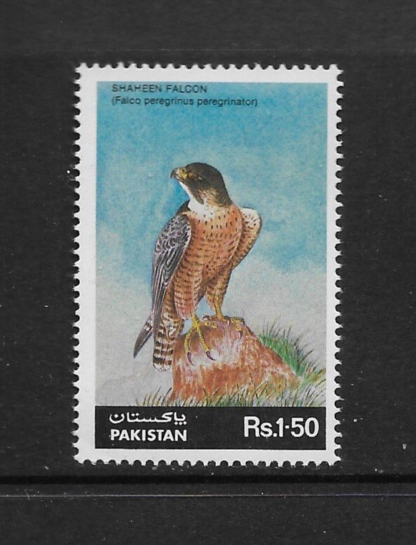 BIRDS - PAKISTAN #663  FALCON  MNH