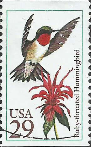 # 2642 USED RUBY THROATED HUMMINGBIRD