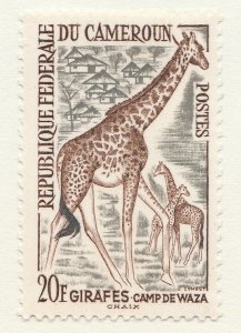 1962 Cameroon Stamp Animals Giraffes 20f MH* A28P18F27632-