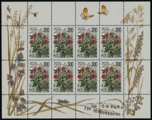 Russia 6261a MNH Flowers, Clover, Insects