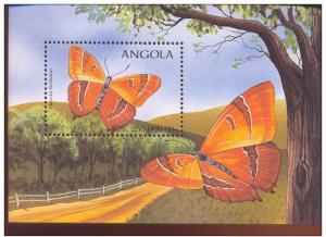 ANGOLA SHEET BUTTERFLIES INSECTS
