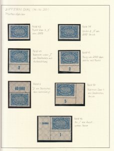 Germany - 1923 Oval 2000M specialized collection of varieties Mi# 253 - MNH