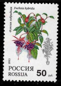 Russia Scott 6136 Flowering house plant stamp