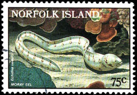 Norfolk Island #377-380, Complete Set(4), 1986, Marine Life, Used