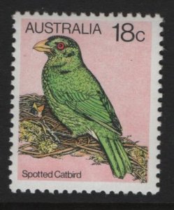 AUSTRALIA, 768, MNH, 1980, Spotted Catbird