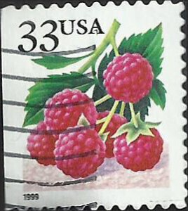 # 3295 USED RASPBERRIES