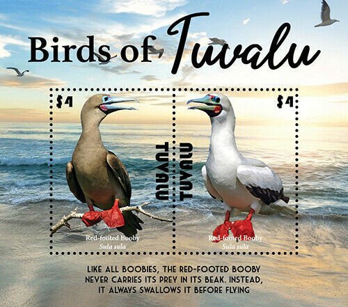 2021/05- TUVALU - BIRDS OF TUVALU                    2V    MNH **