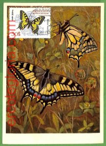 32403 - Mongolia - MAXIMUM CARD - Butterflies-