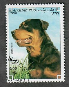 Afghanistan Rottweiler Dog CTO single from 1998