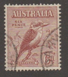 Australia 139 - kooka burra