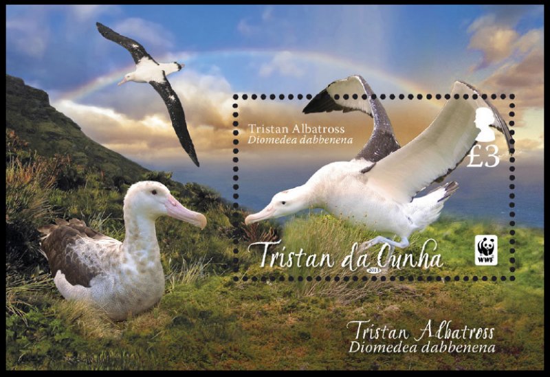 COLOR PRINTED TRISTAN DA CUNHA 2011-2020 STAMP ALBUM PAGES (45 illustr. pages)