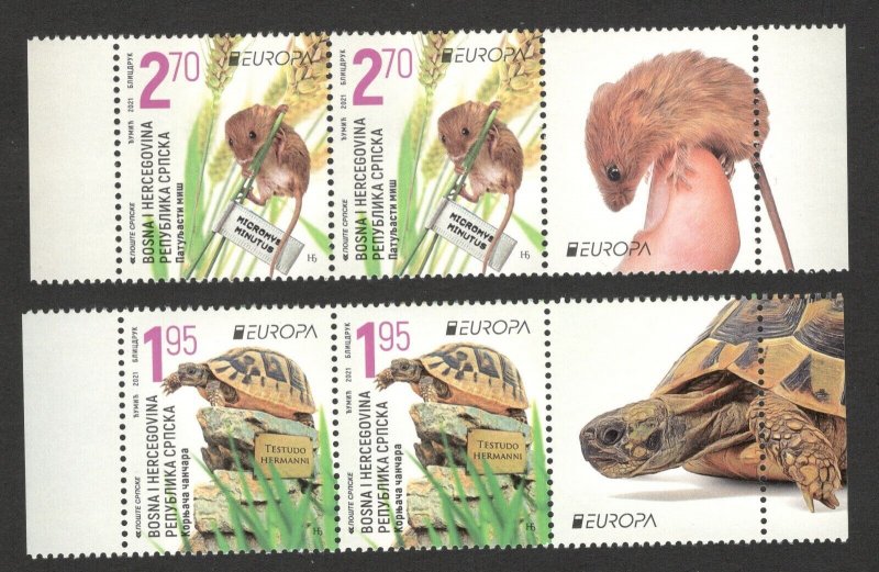 BOSNIA SERBIA -STRIP- EUROPA CEPT - ENDANGERED NACIONAL WILDLIFE - TURTLE - 2021