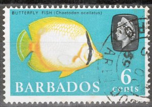 ZAYIX Barbados 272 Used Butterflyfish Fish Marine Life 072822S05M