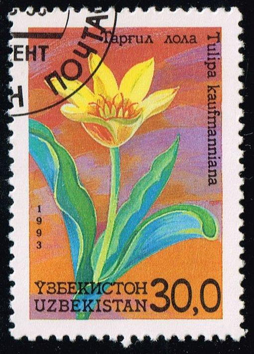 Uzbekistan #42 Flowers; CTO (0.35)