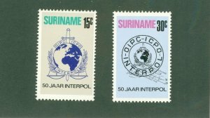 SURINAM 406-7 MH BIN $.60