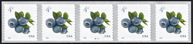 SC#5653 4¢ Blueberries Coil Plate Strip of Five: #B111111 (2022) SA