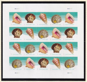 2017 Seashells 4 different designs Sc 5166a MNH pane of 20 colorful stamps