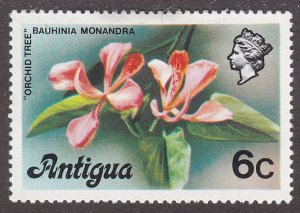 Antigua 411 Orchid Tree 1976