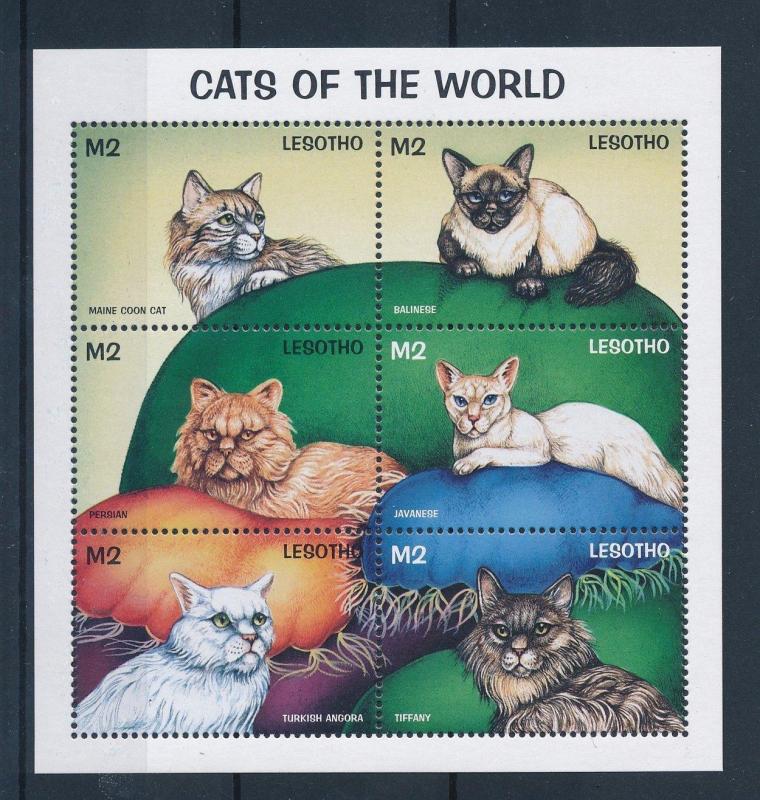 [35709] Lesotho 1998 Animals Cats MNH Sheet