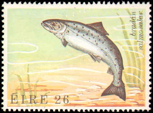 Ireland #525-528, Complete Set(4), 1982, Marine Life, Fish, Never Hinged