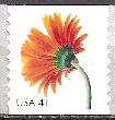 #4175, Single.  \Gerbera Daisy, Orange\ MNH, 41 cent