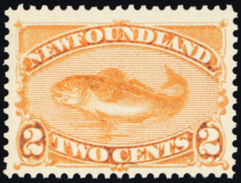 Newfoundland 48, Mint VF NH 2¢ Codfish Stamp $150.00 - Stuart Katz