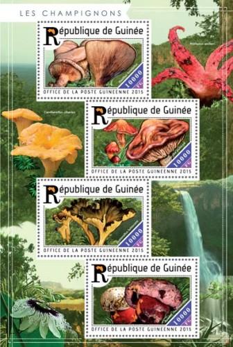 GUINEA 2015 SHEET MUSHROOMS