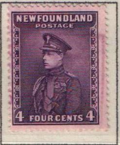 Newfoundland 188 - Used