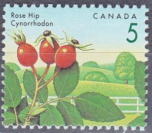 #1352 MNH Canada - Edible Berries - Rose Hip 5¢