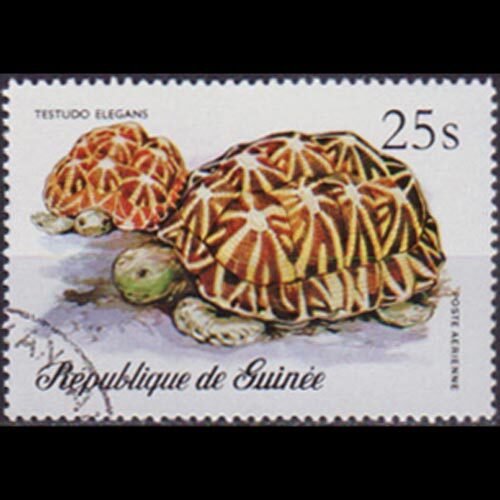 GUINEA 1976 - Scott# C136 Painted Tortoise 25s CTO