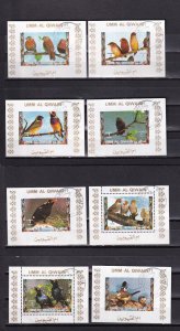 LI07 Umm al Qiwain 1972 Birds large format  used stamps  Imperfoated