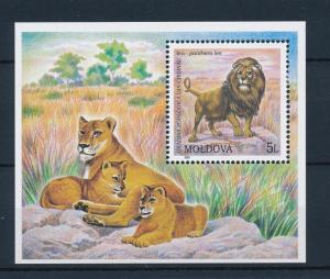 [39943] Moldova 2001 Wild Animals Mammals Tiger MNH Sheet