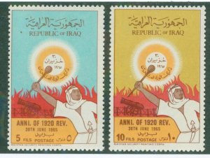 IRAQ 382-83 MNH BIN $1.25
